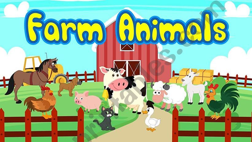 Farm Animals  powerpoint