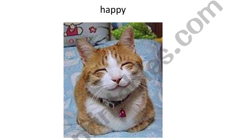 ESL English PowerPoints Antonyms And Feelings