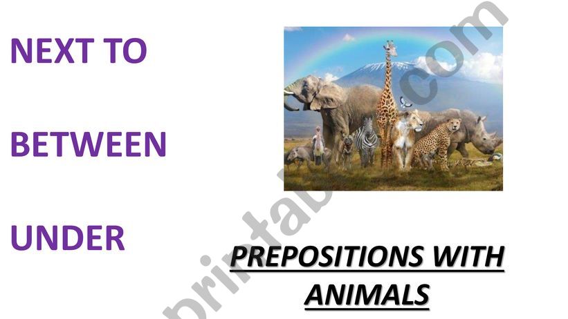 Prepositions with animals powerpoint