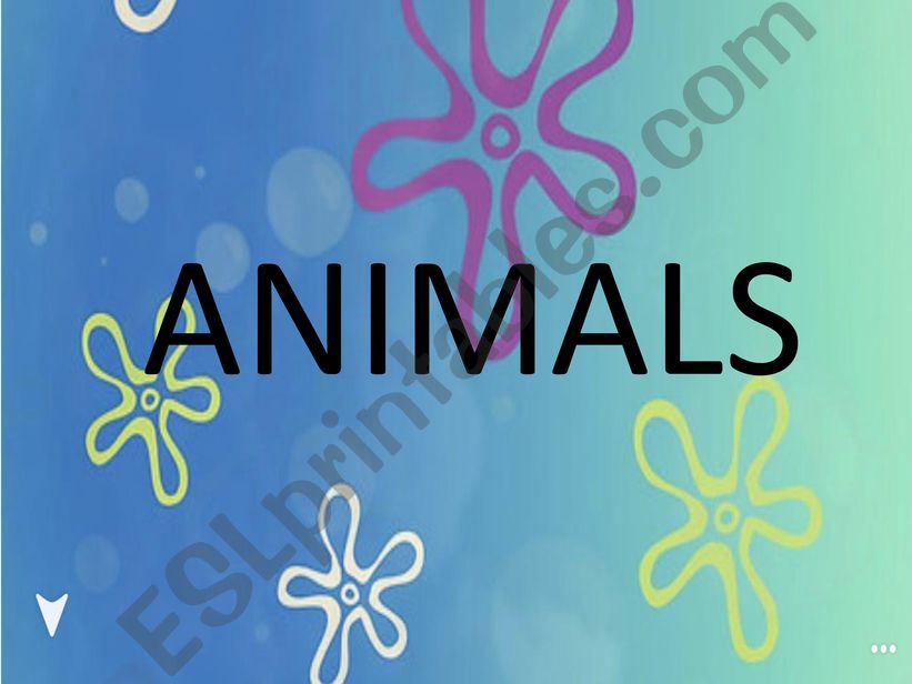 ANIMALS powerpoint
