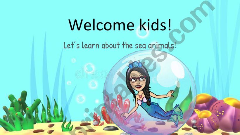 Sea Animals Flashcards powerpoint