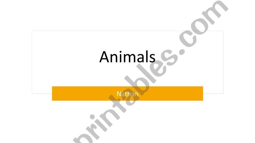 Animal Presentation powerpoint