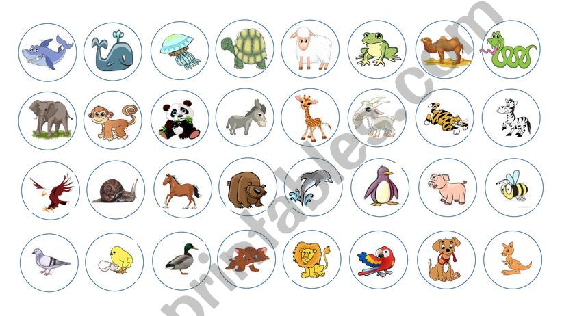 animals wheel powerpoint