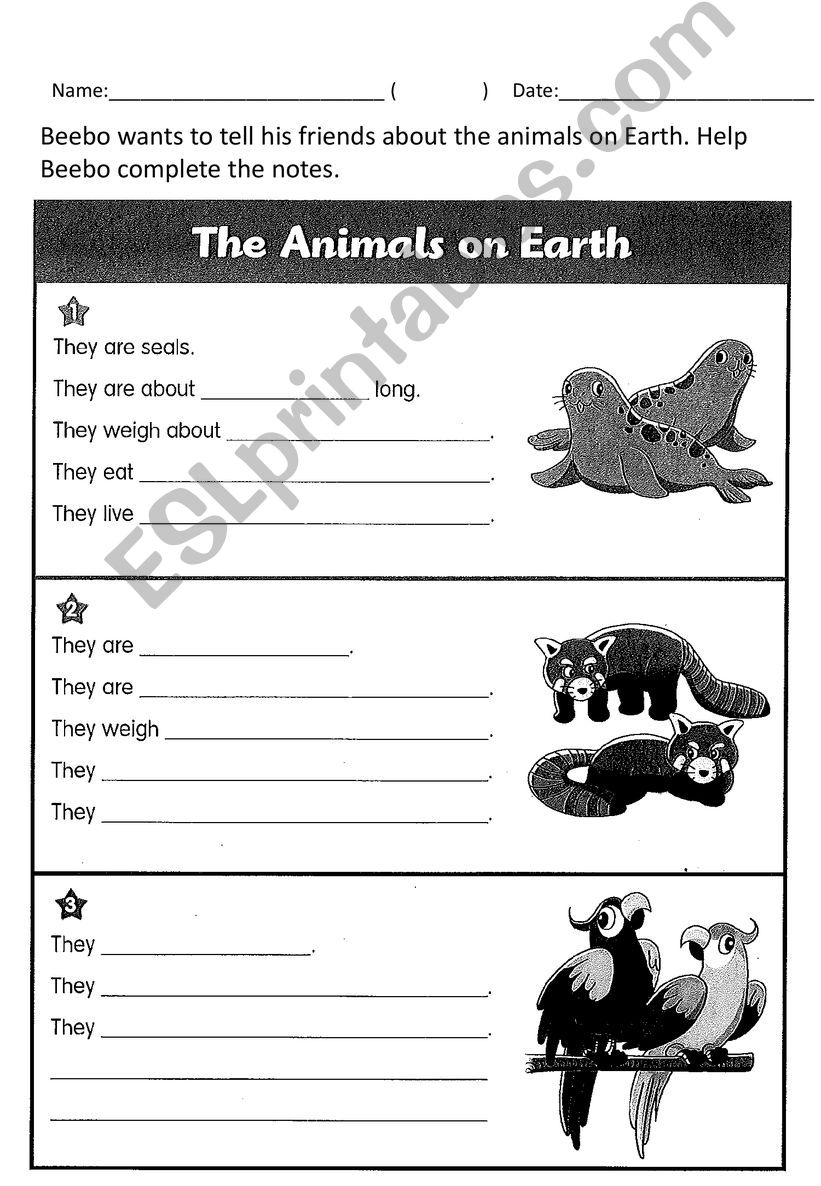 The animals on earth powerpoint