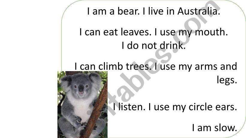 Koala reading comprehension powerpoint
