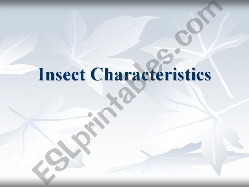 insect characteristics powerpoint