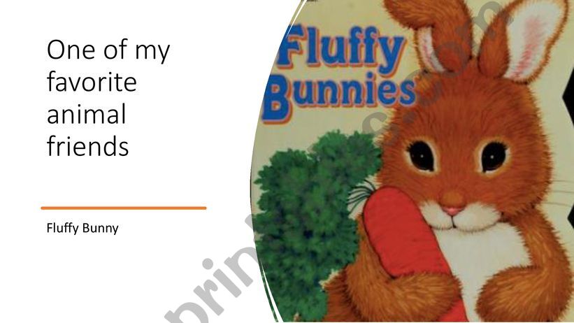 Fluffy Bunnies powerpoint