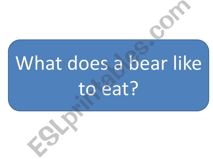 What do bears like to eat comprehension