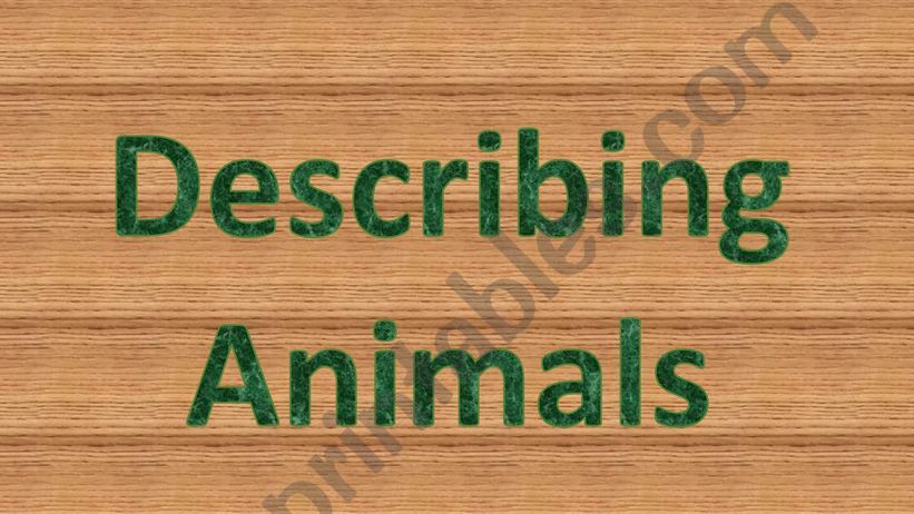 Adjectives for animals powerpoint