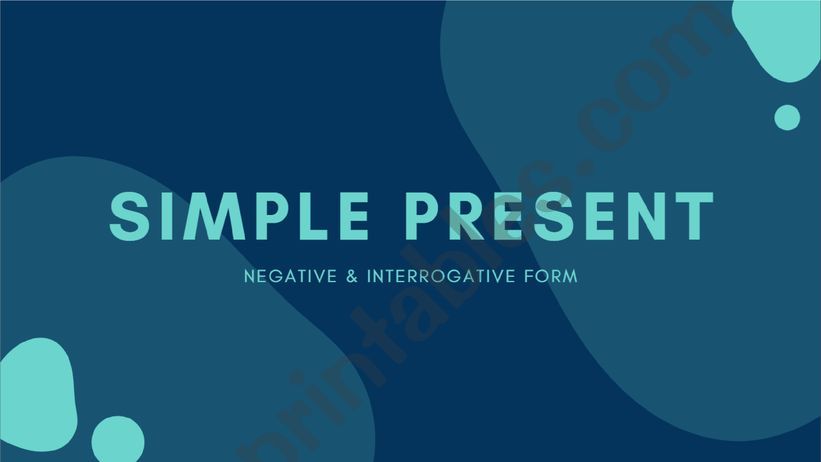 simple present negative and interrogative 