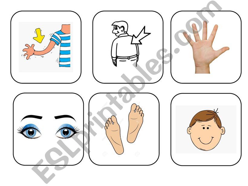 Body parts Memory game powerpoint