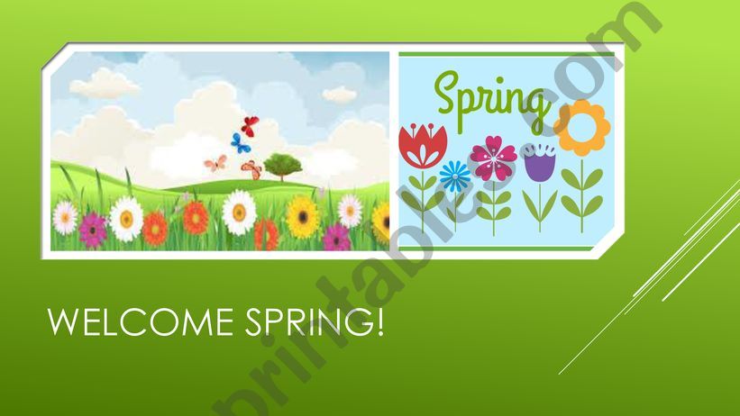Spring vocabulary powerpoint
