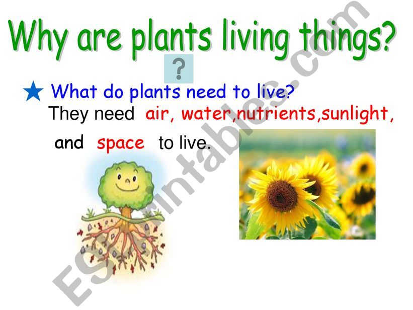 Plants_part 1 powerpoint