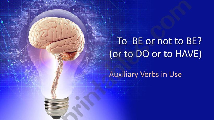 Auxiliary Verbs: BE, DO, HAVE + MODALS
