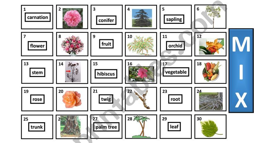 Pelmanism - plants powerpoint