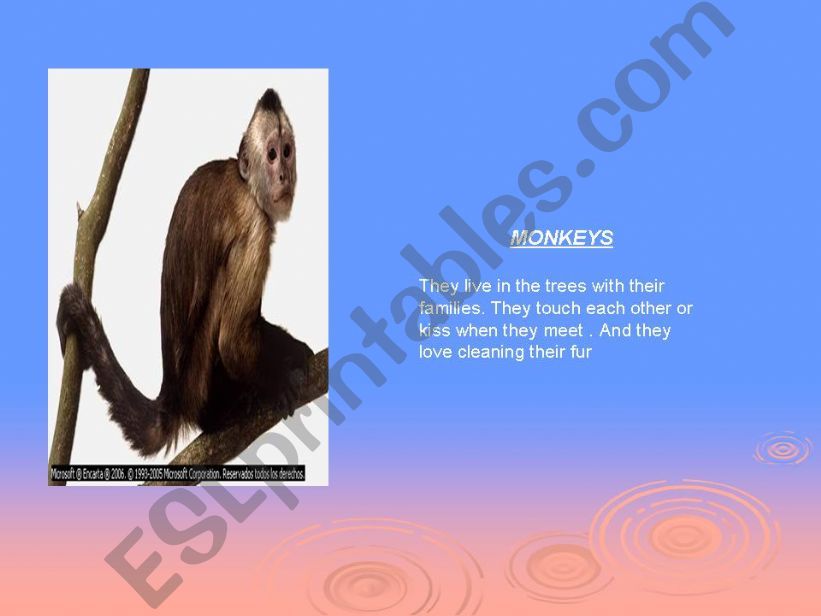 wild animals 2 powerpoint