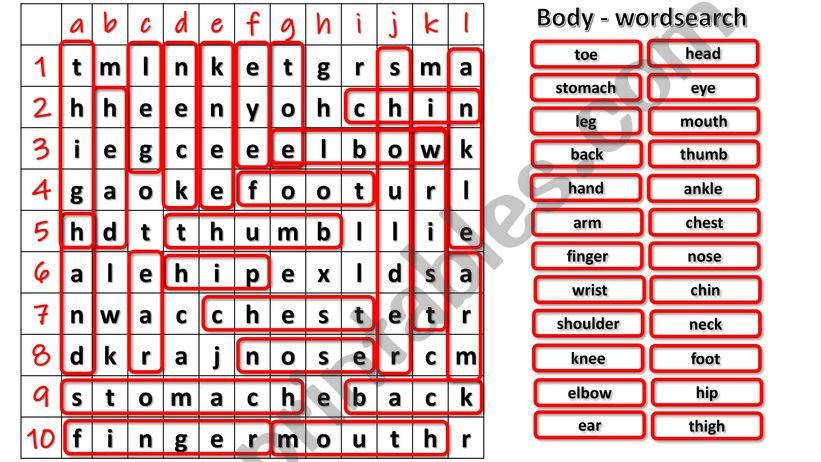 Parts of the body - wordsearch