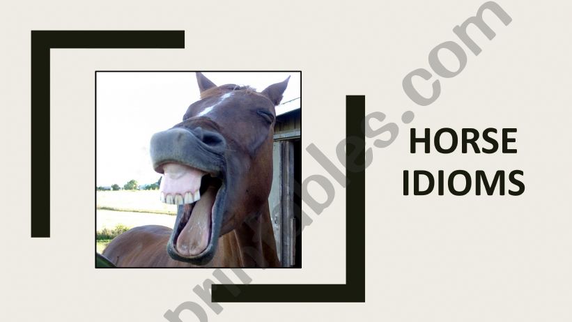 Horse Idioms powerpoint