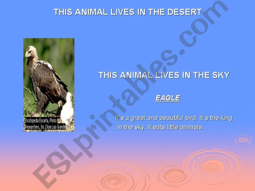 wild animals powerpoint