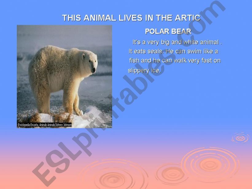 wild animals powerpoint