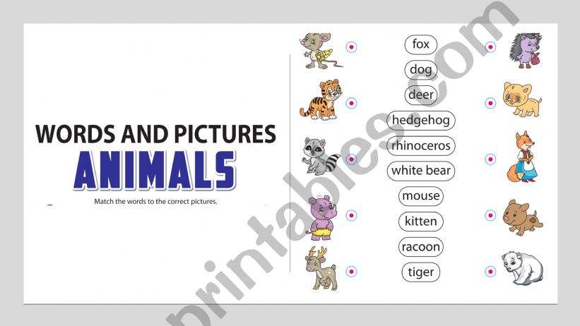 ANIMALS powerpoint