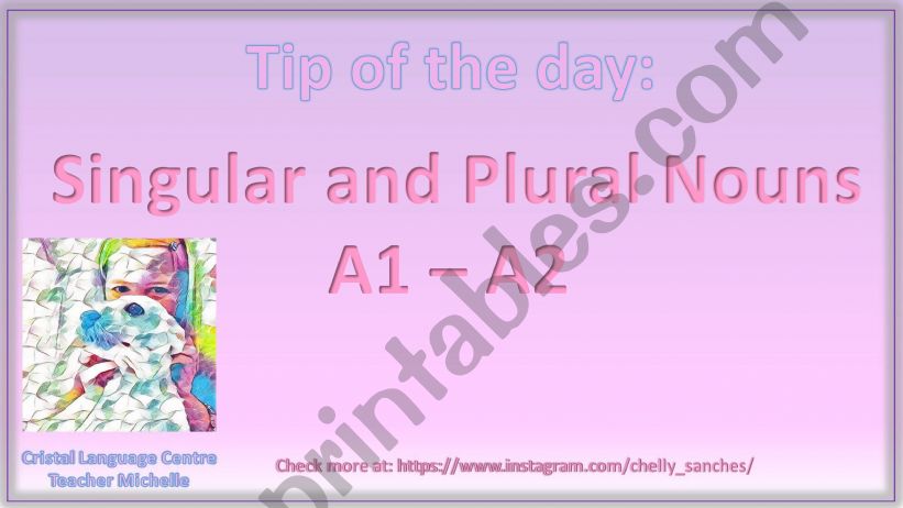 Singular and Plural Nouns powerpoint