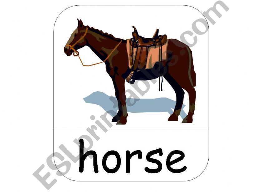 Farm animals flashcards part 1