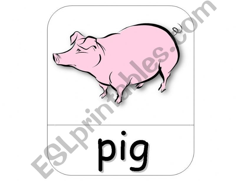 Farm animals flashcards part 2