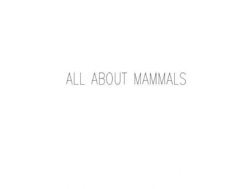 ALL About mammals powerpoint