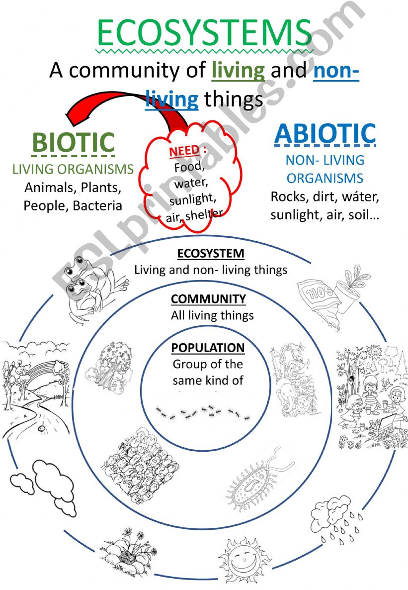 ECOSYSTEMS powerpoint