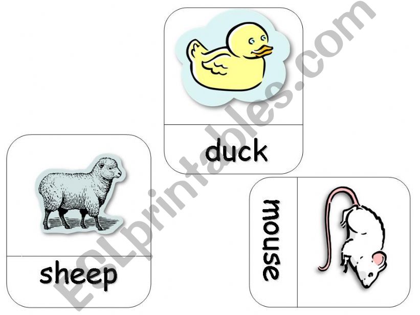 Farm animals flashcards part 3