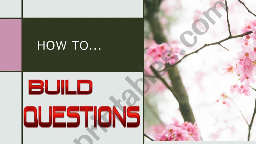 how to build questions powerpoint