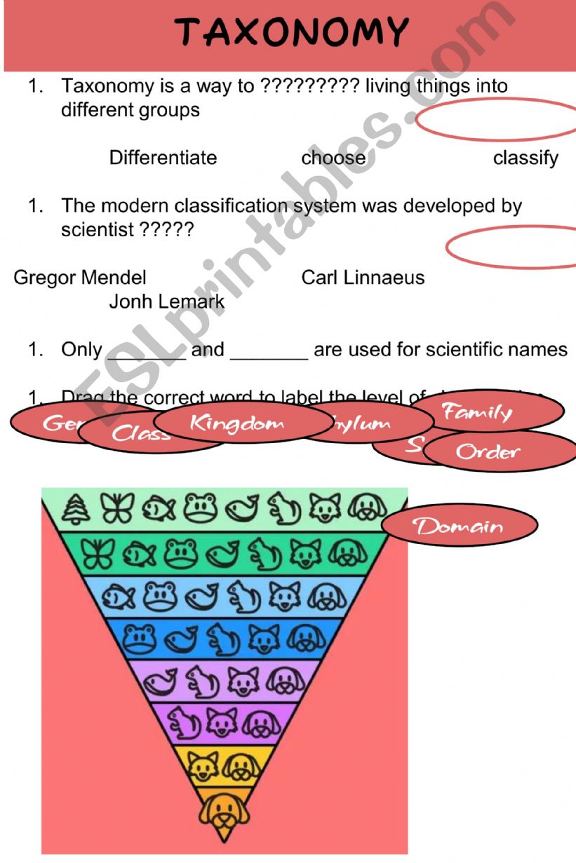 Taxonomy Review Lesson powerpoint