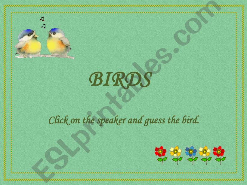 Birds Quiz 1 powerpoint