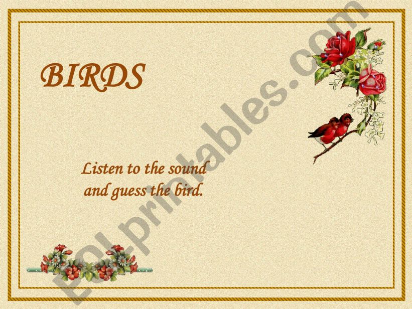 Birds Quiz 2 powerpoint