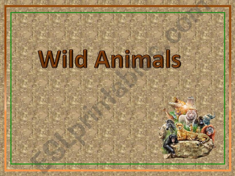Wild Animals powerpoint