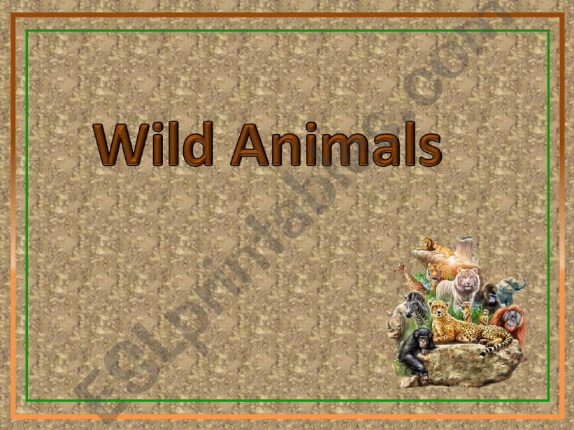 Wild Animals powerpoint