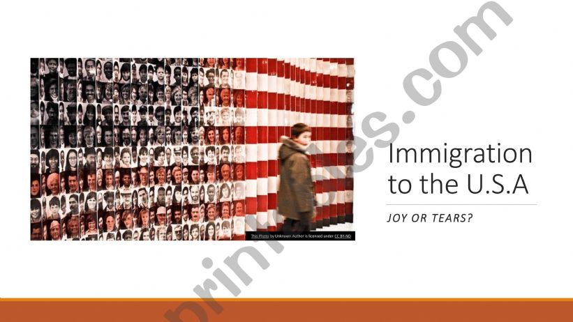 Immigration to the USA/ Joy or tears