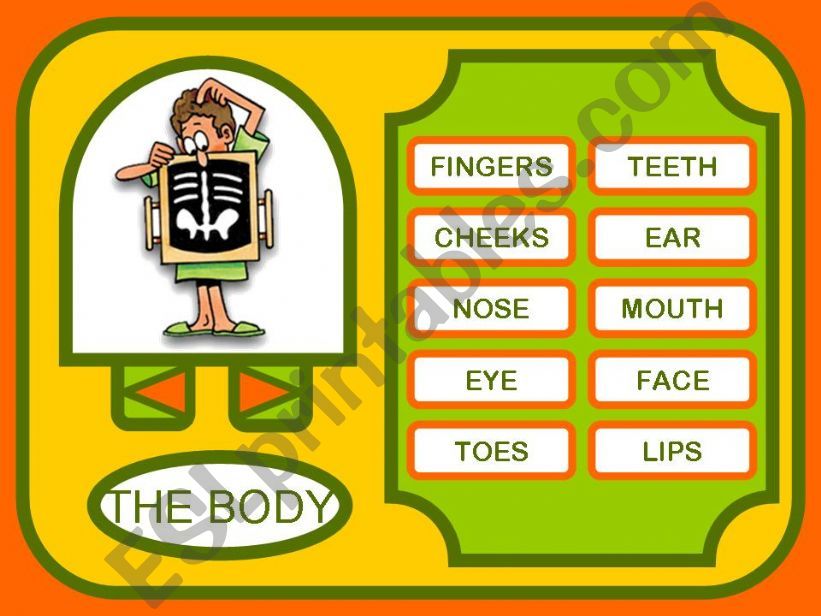 THE BODY PARTS - GAME powerpoint