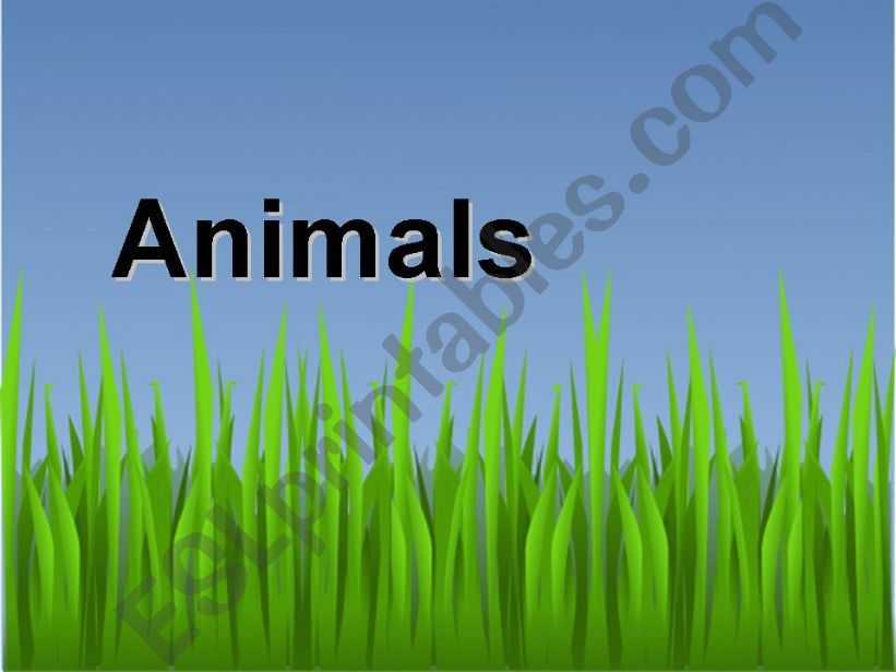 animals powerpoint