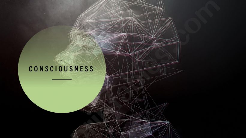 consciousness  powerpoint