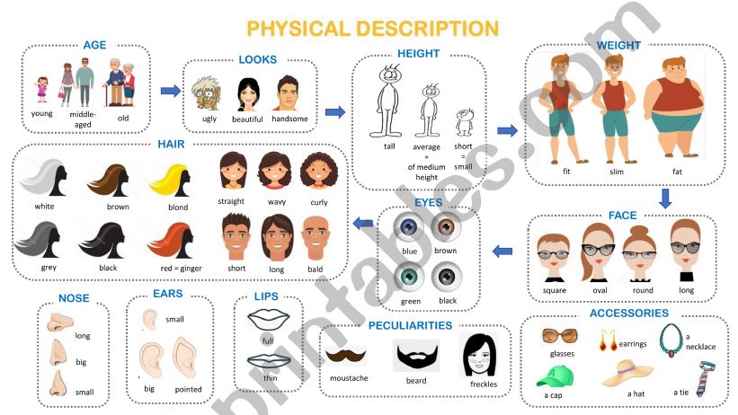 Physical description/ appearance