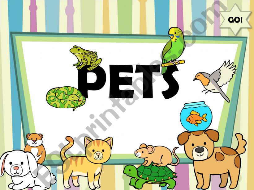 Pets. pptx powerpoint