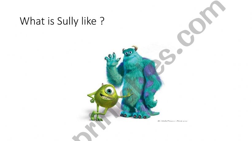 Sullys description powerpoint