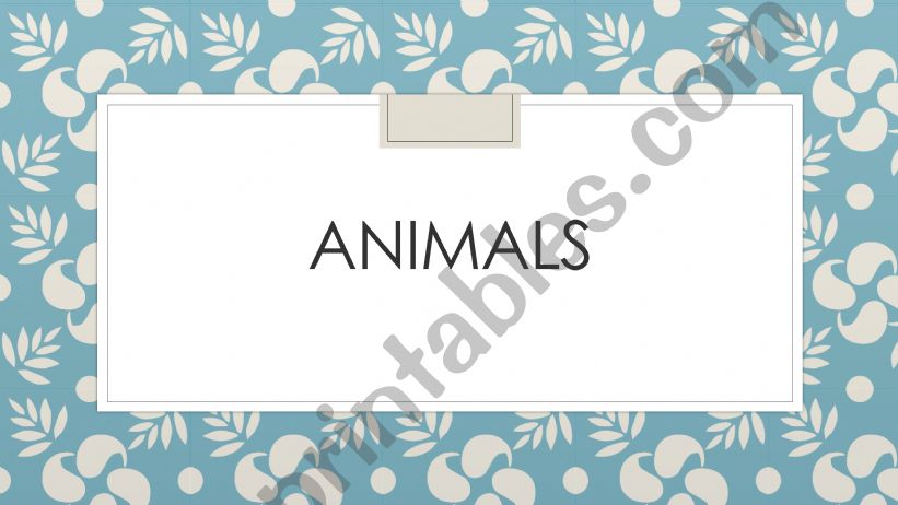 Animals and Regular Comparative