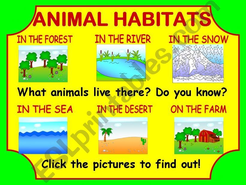 Animal Habitat Game powerpoint