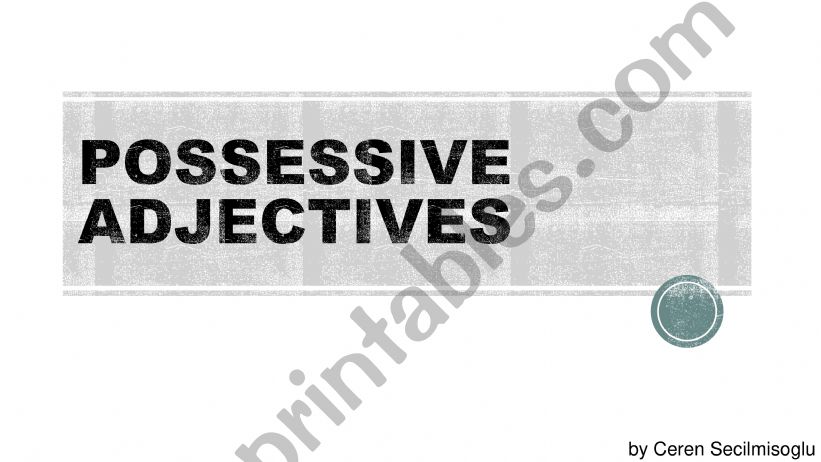 Possessive Adjectives (practice)