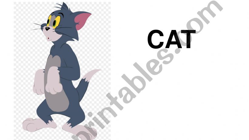Animals flashcards powerpoint