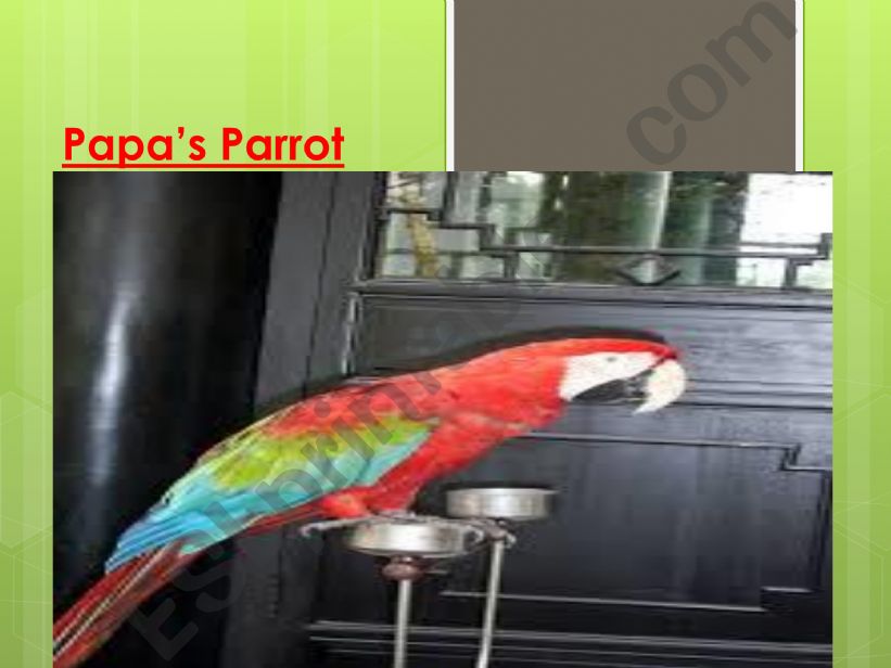 Papa�s Parrot  powerpoint