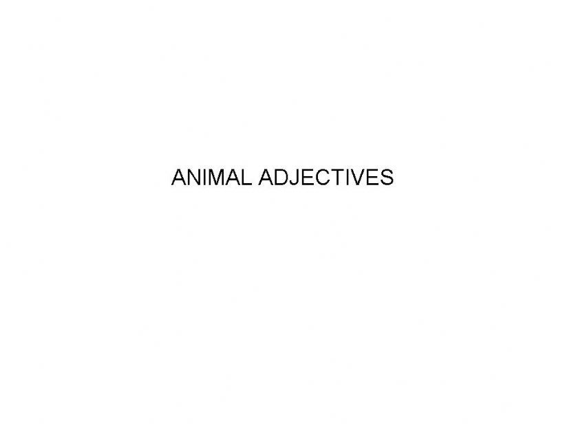 Animal adjetives powerpoint